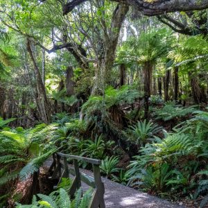 Pflanze – Natur – Landscape-Fotografie von Markus Egolf