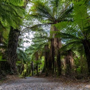 Pflanze – Natur – Landscape-Fotografie von Markus Egolf