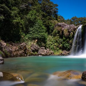 Pflanze – Natur – Landscape-Fotografie von Markus Egolf