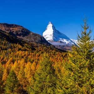 Pflanze – Berg – Landscape-Fotografie von Markus Egolf