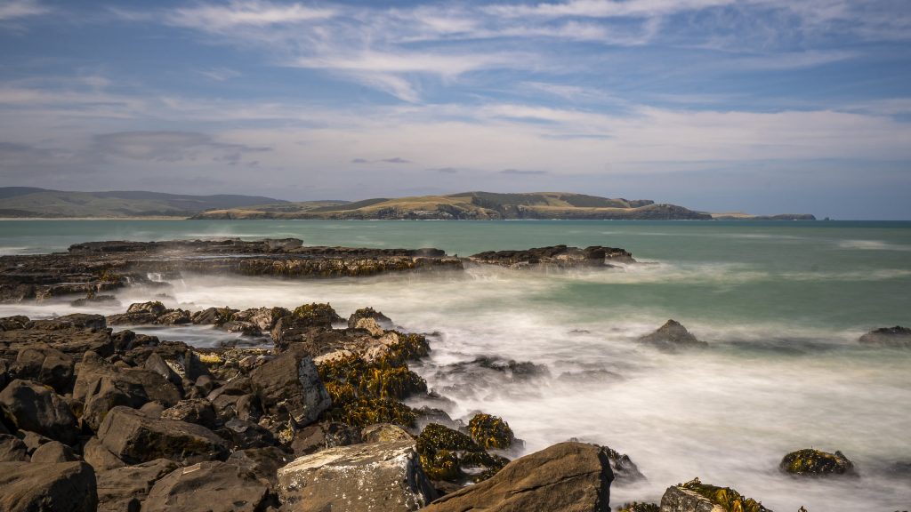 Curio Bay_Neuseeland