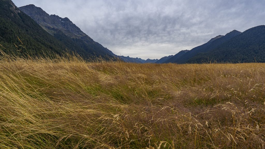 Eglinton Valley im Fiordland-Nationalpark_Neuseeland