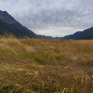 Eglinton Valley im Fiordland-Nationalpark_Neuseeland