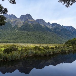 Mirror Lakes im Fiordland-Nationalpark auf der Südinsel Neuseelands